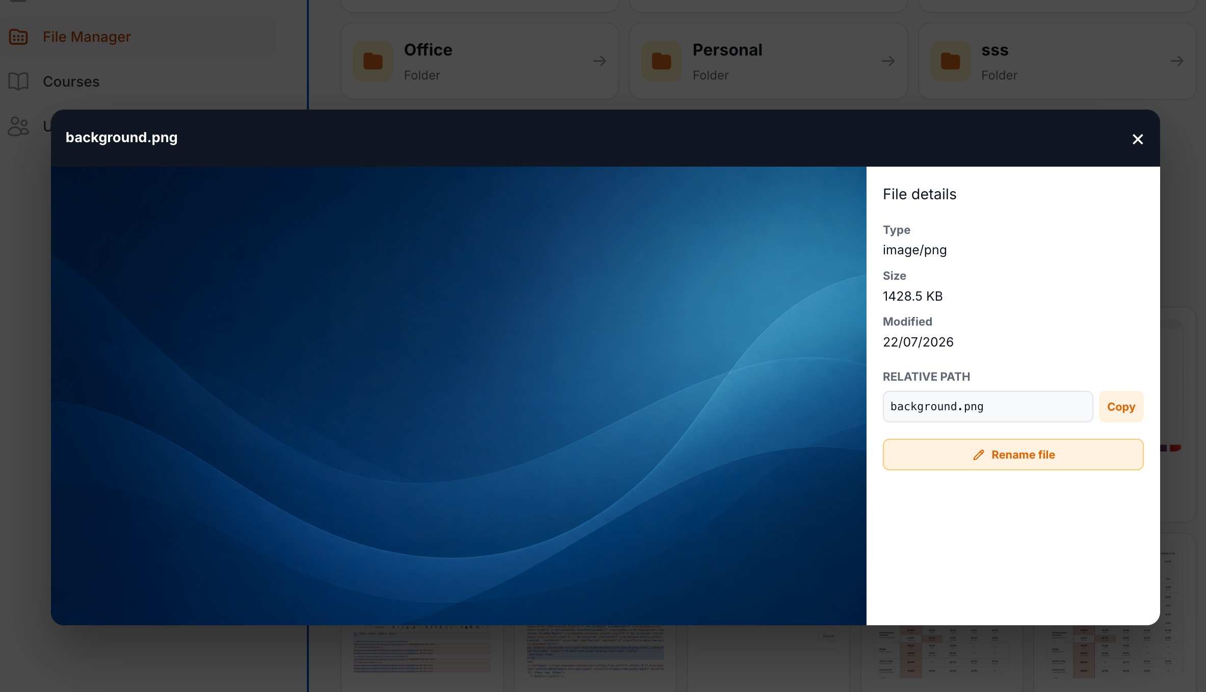 Image preview and file details