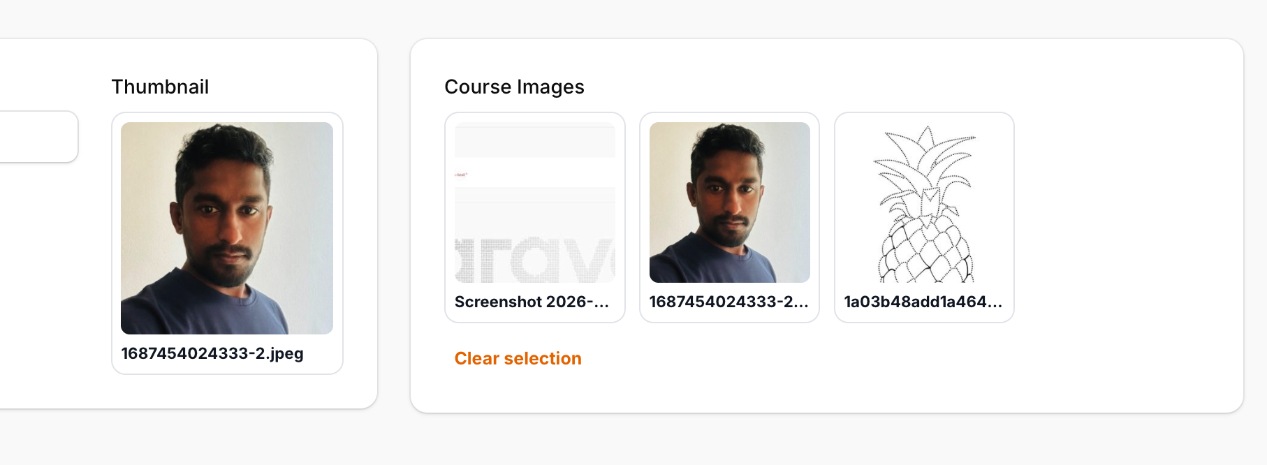 Selected files in UniFilePicker