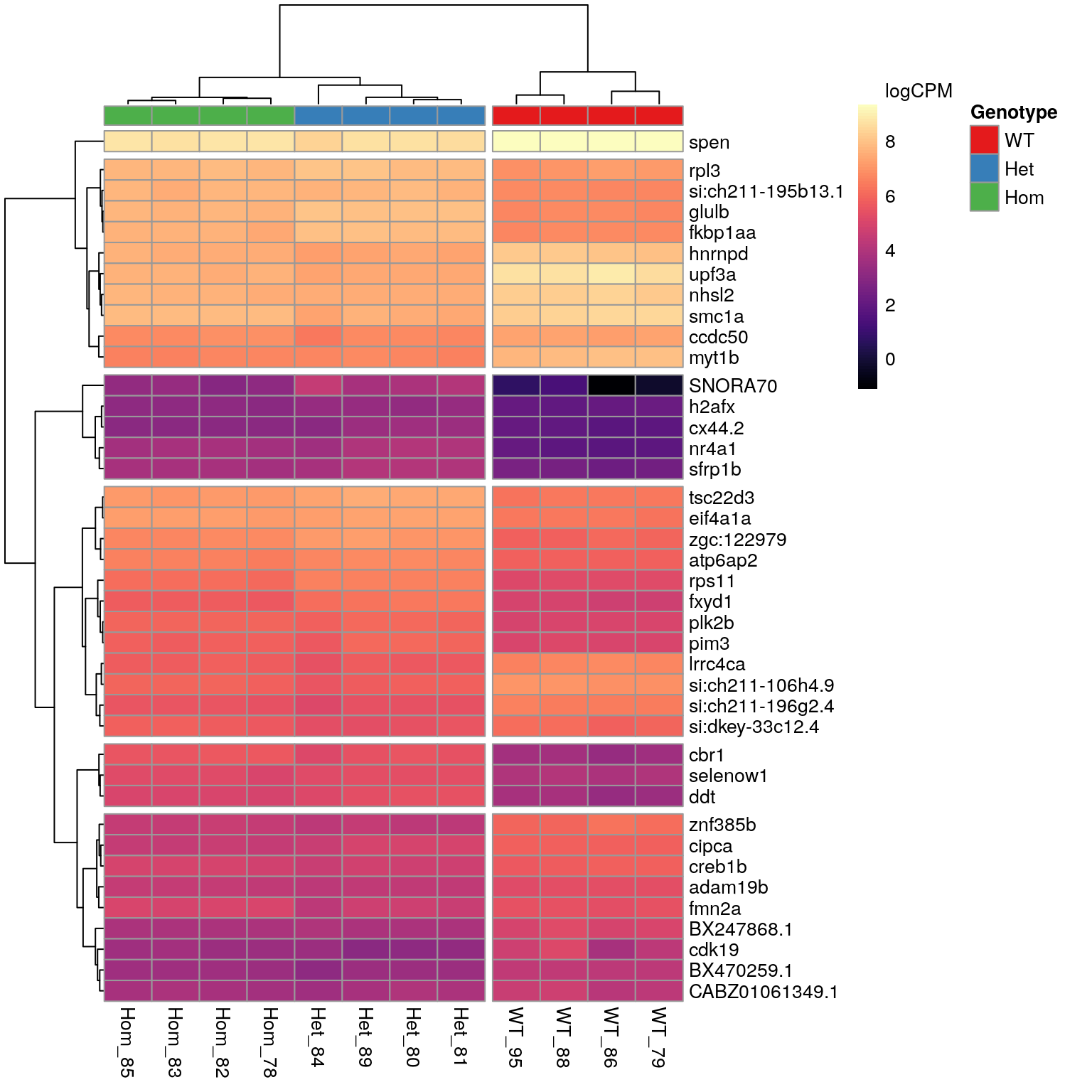 *The 40 most highly-ranked genes by FDR which are commonly considered DE between mutants and WT samples. Plotted values are logCPM based on normalised counts.*