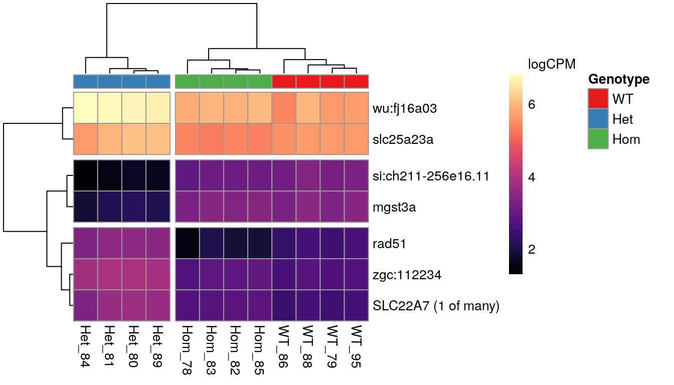 *The 7 most highly-ranked genes by FDR which are DE between between mutants. Plotted values are logCPM based on normalised counts.*