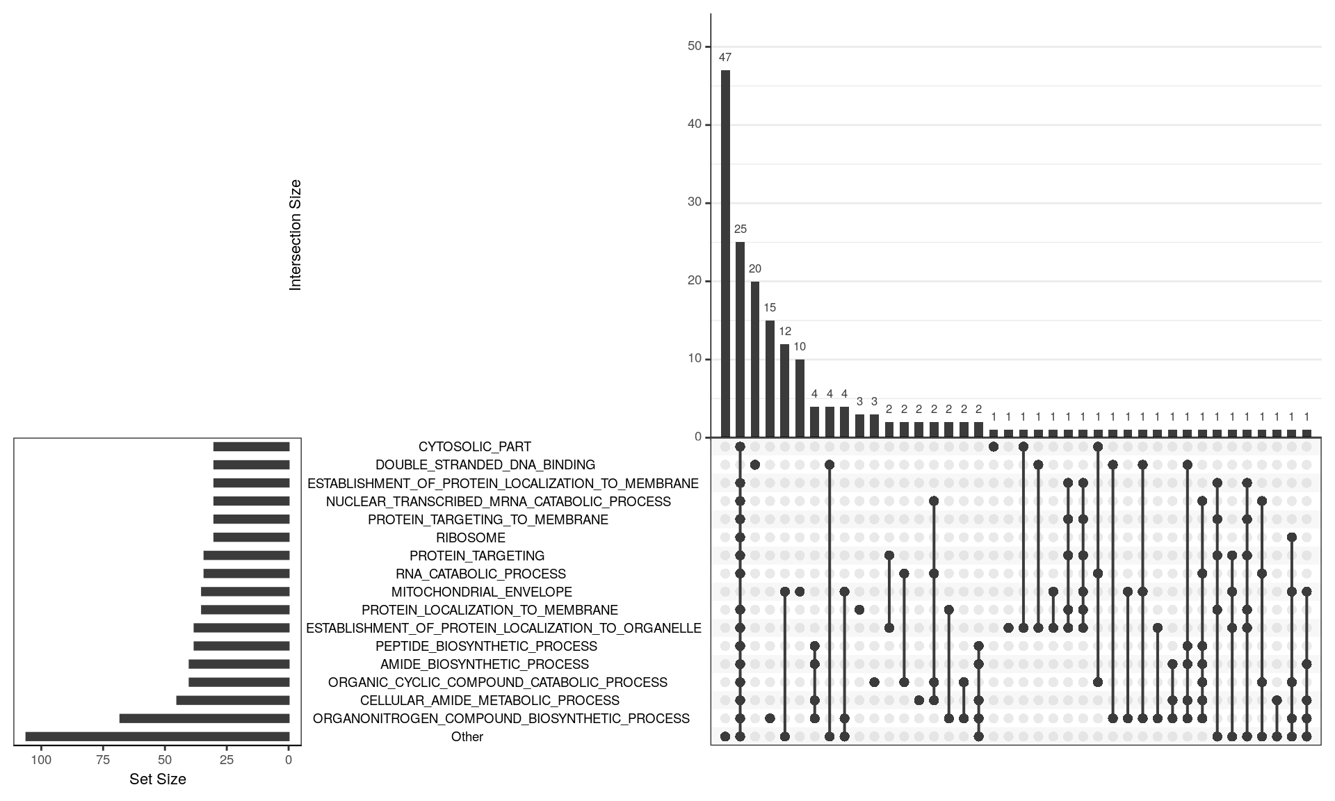 *UpSet plot indicating distribution of DE genes within significant terms from the GO gene sets. Gene sets were restricted to those with 25 or more DE genes and an FDR < 0.05. A group of 47 genes is widely spread across multiple terms, whilst a group of 25 genes is shared by a large group of terms, indicating that these genes largely drive the signal for these terms. These genes tend to indicate Ribosomal activity. However, a set of 20 genes seems to more uniquely indicate dsDNA binding, whilst another 15 indicate organo-nitrogen biosynthesis, and a further set of 22 DE genes are predominantly associated with the mitochondrial envelope.*