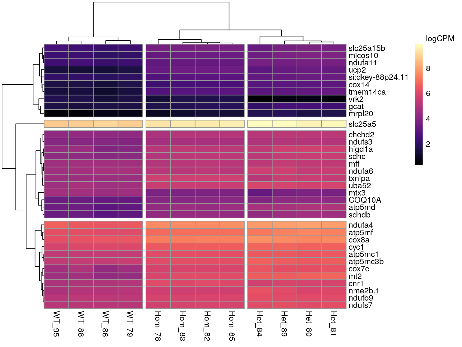 *All DE genes associated with the GO term 'Mitochondrial Envelope'.*