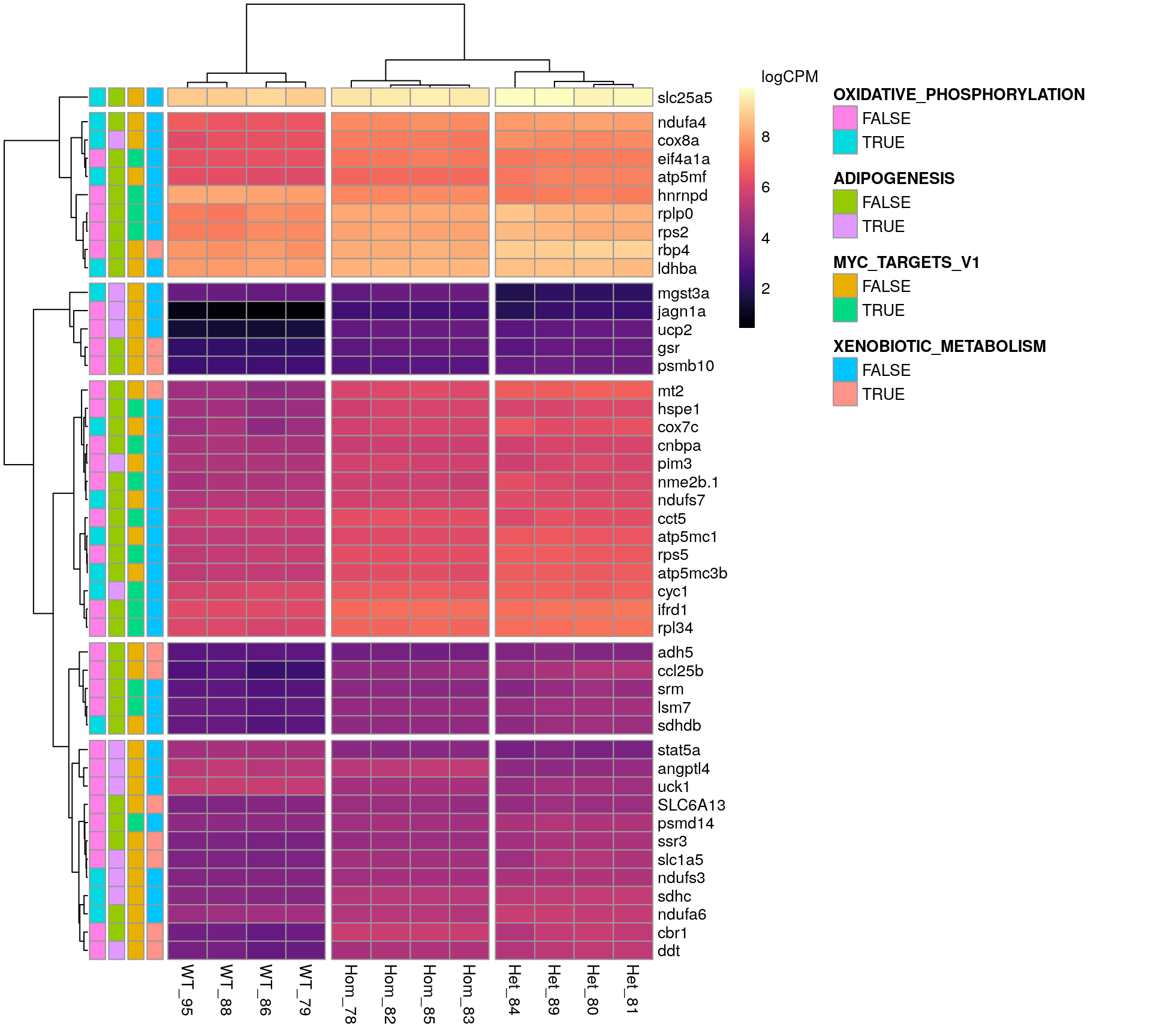 *Gene expression patterns for all DE genes in HALLMARK genes sets, containing more than 5 DE genes.*