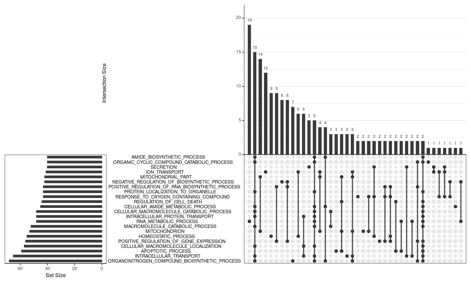 *UpSet plot indicating distribution of DE genes within significant terms from the GO gene sets. For this visualisation, GO terms were restricted to those with 25 or more DE genes and an FDR < 0.05. A group of about 300 genes is widely spread across multiple terms and not shown, with the next largest group being 19 genes uniquely associated with RNA Metabolic Process. A group of 15 genes is shared by a large group of terms, indicating that these genes largely drive the signal for these terms. These genes tend to indicate Ribosomal activity (i.e. protein synthesis). However, a set of 14 genes seems to more uniquely indicate Mitochondrial activity, followed by 12 uniquely associated with Ion Transport, and a set of 9 genes associated with homeostasis followed by 25 (9 + + 8) involved with regulation of gene expression.*