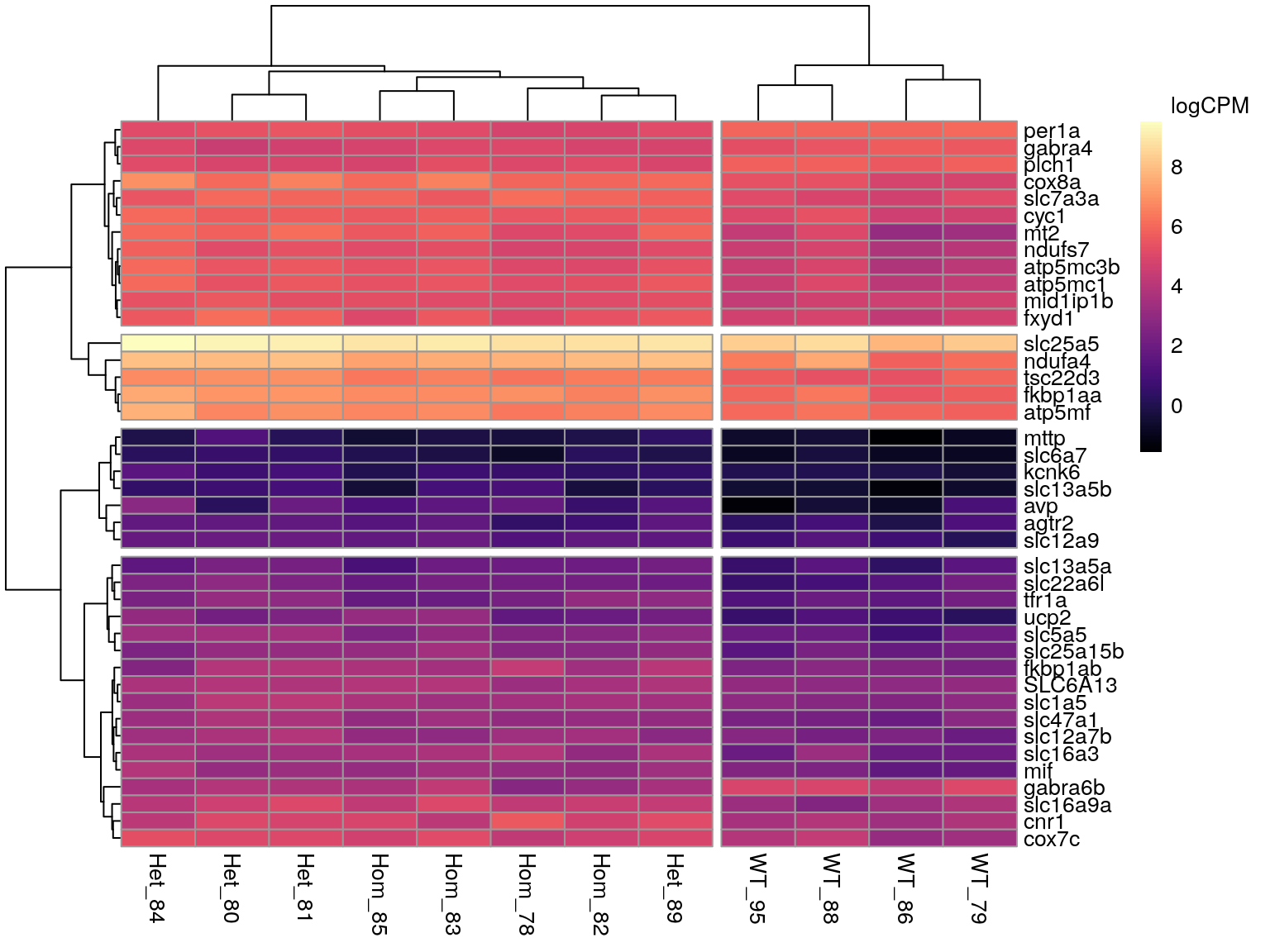 *All DE genes associated with the GO term 'Ion Transport'.*