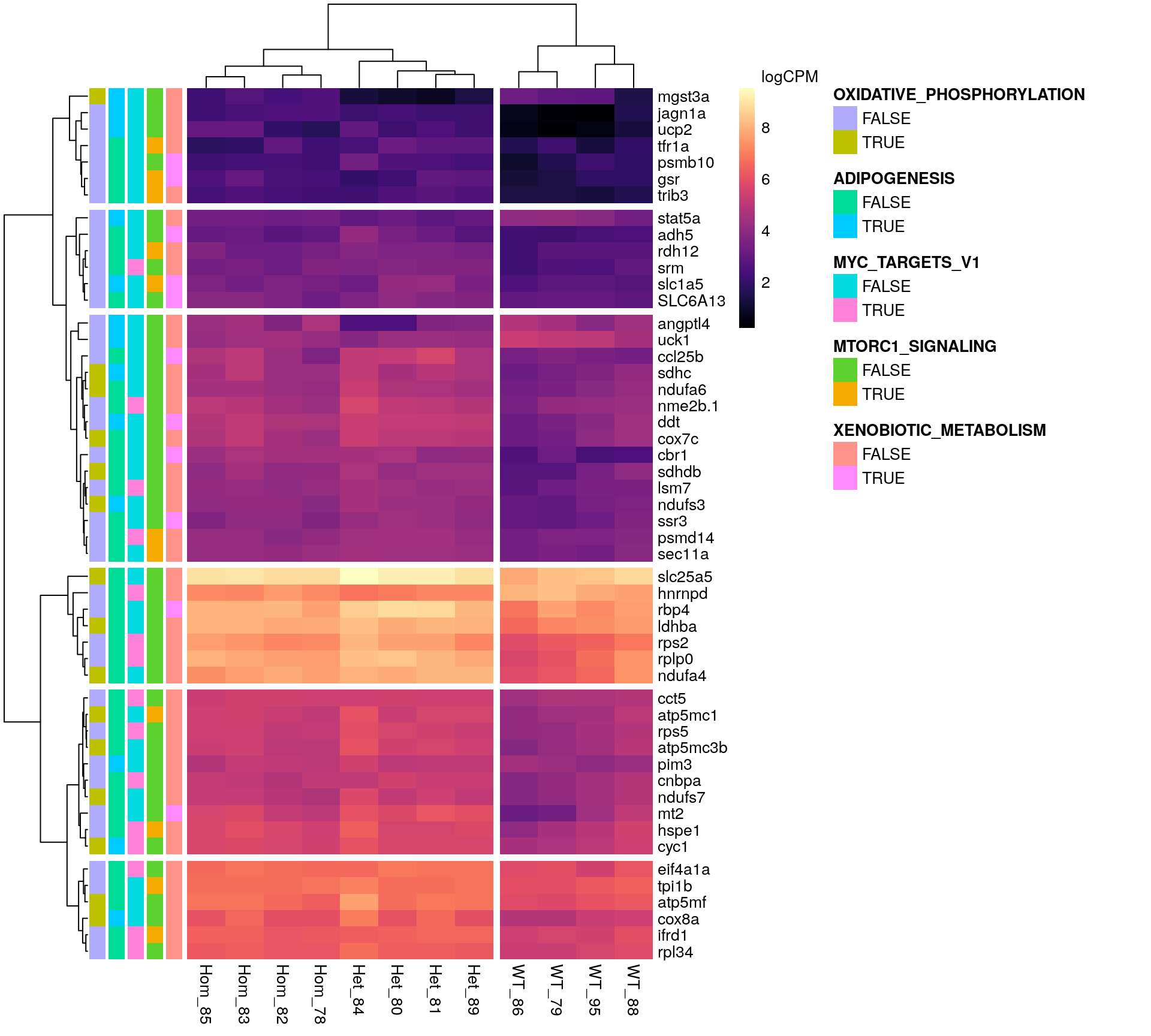 *Gene expression patterns for all DE genes in HALLMARK gene sets, containing more than 10 DE genes.*