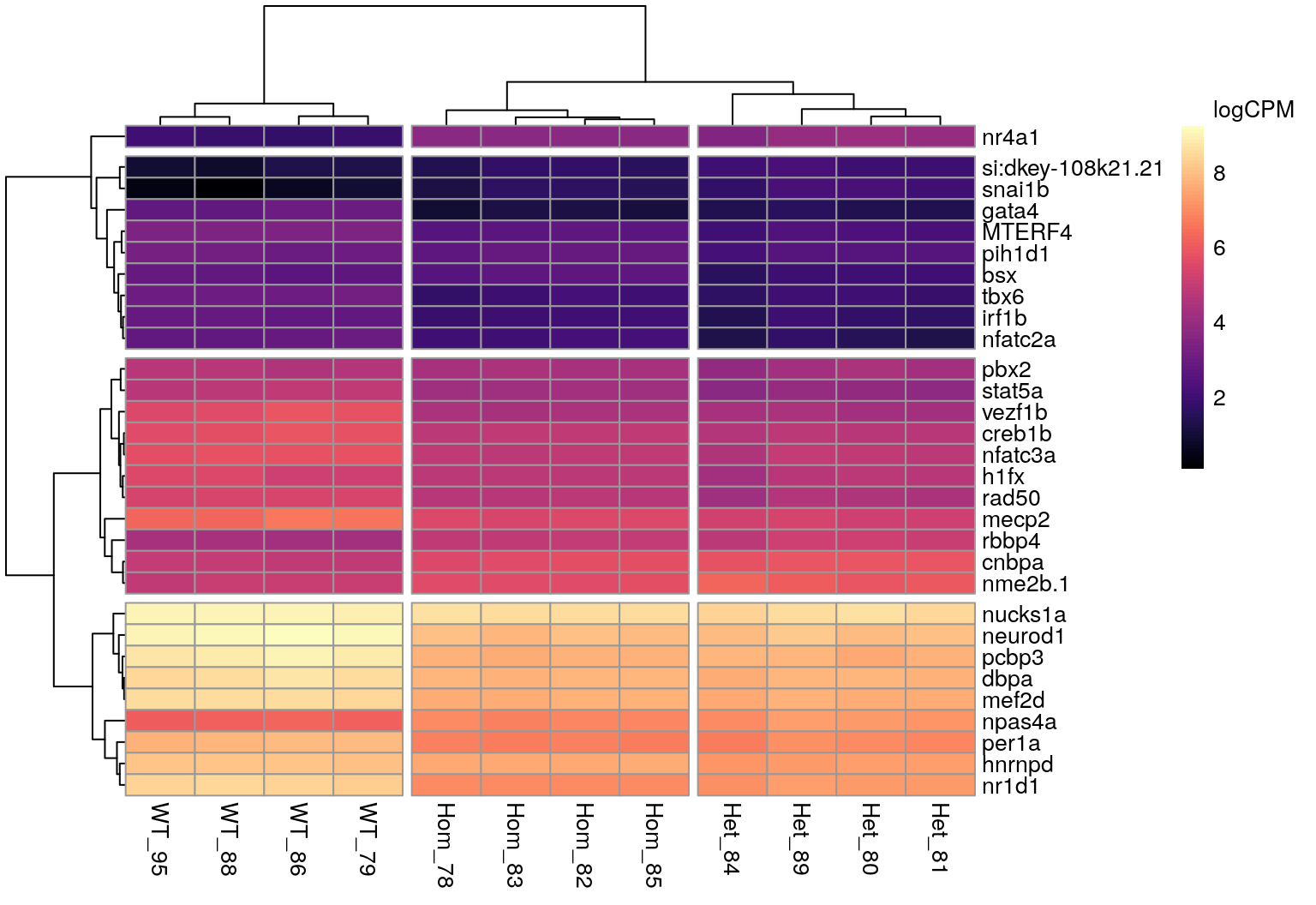 *All DE genes associated with the GO term 'Double Stranded DNA Binding'.*