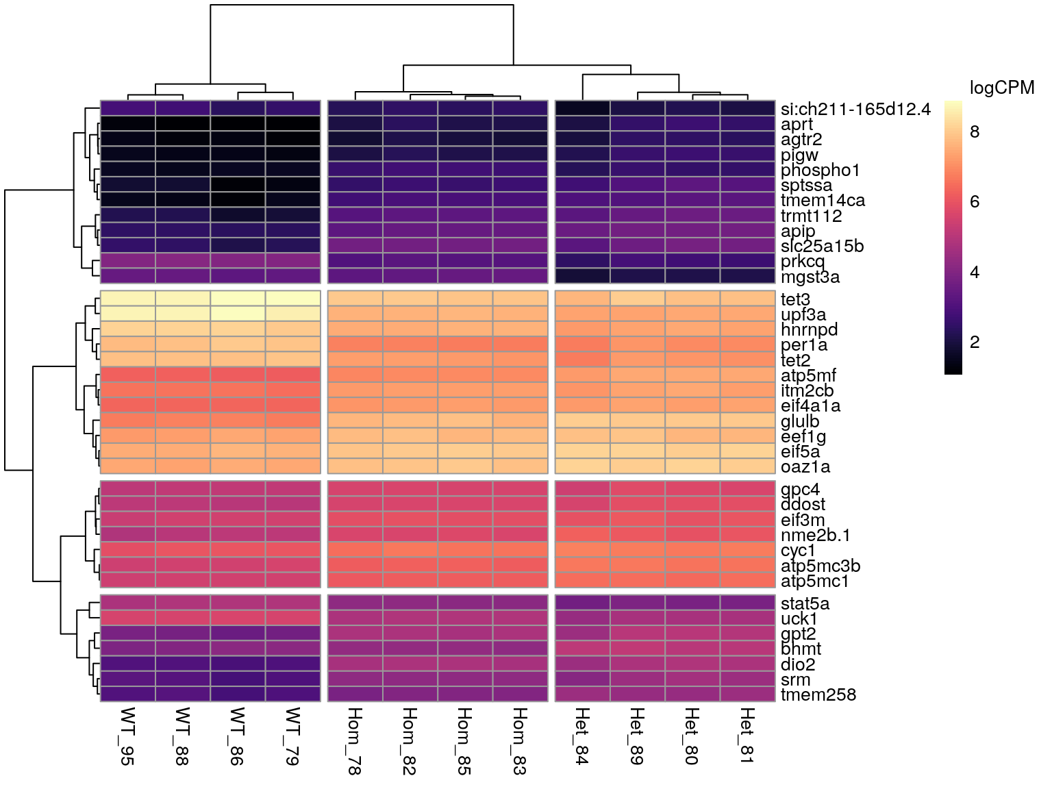 *All DE genes associated with the GO term 'Organo-Nitrogen Compound Biosynthetic Process',* **excluding those genes which are additionally annotated to the GO term 'Ribosome'.**