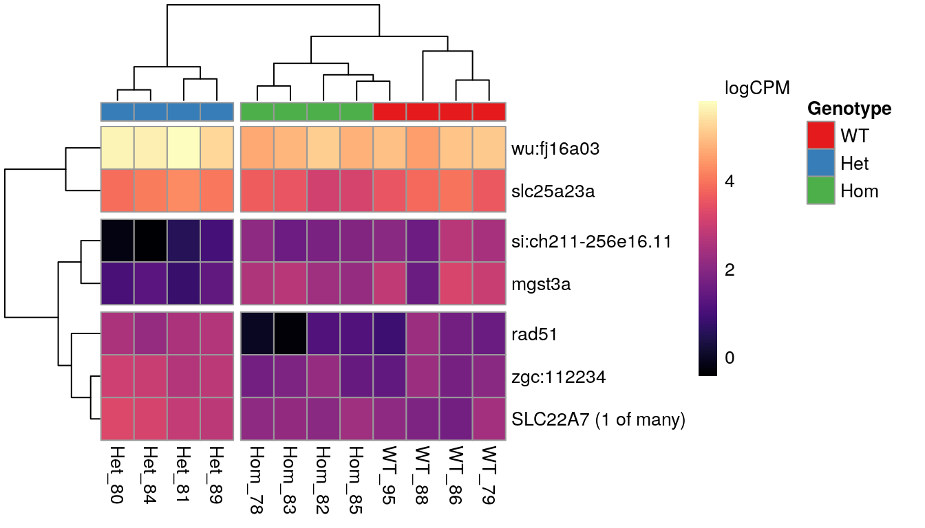 *The 7 most highly-ranked genes by FDR which are DE between between mutants. Plotted values are logCPM based on normalised counts.*