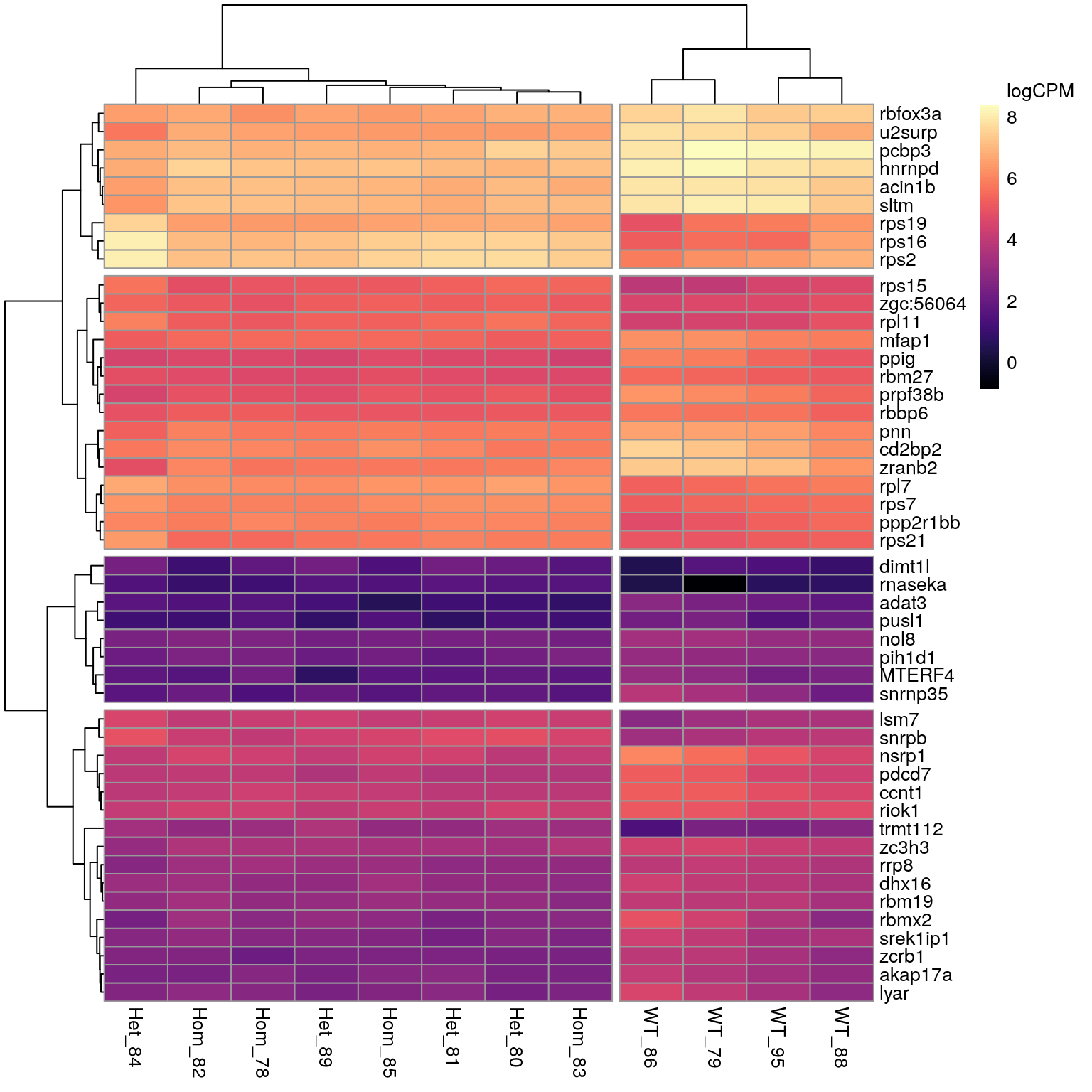 *All DE genes associated with the GO term 'RNA Metabolic Process'.*