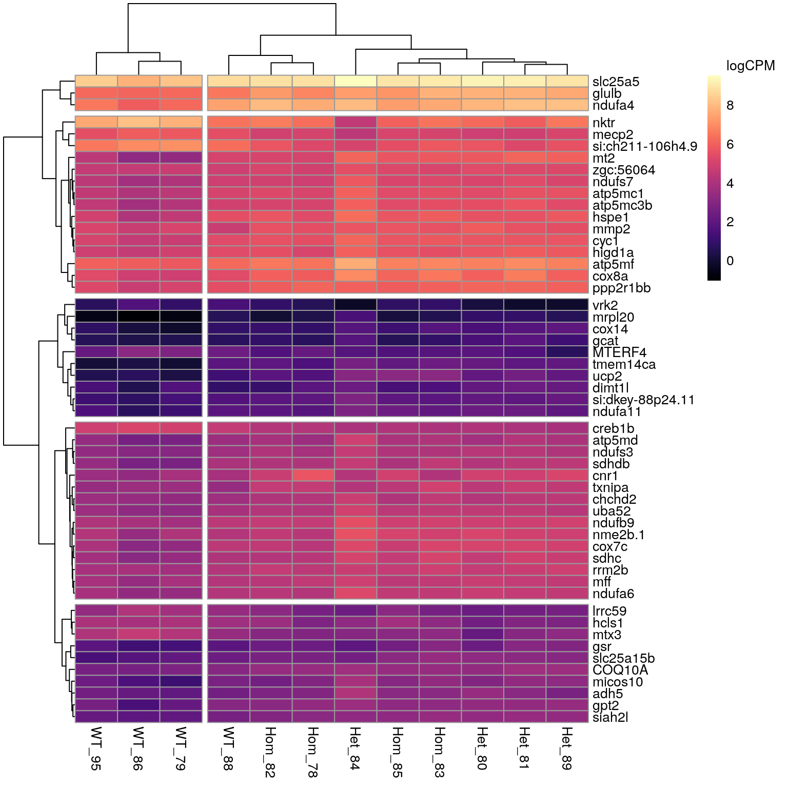 *All DE genes associated with the GO term 'Mitochondrion'.*