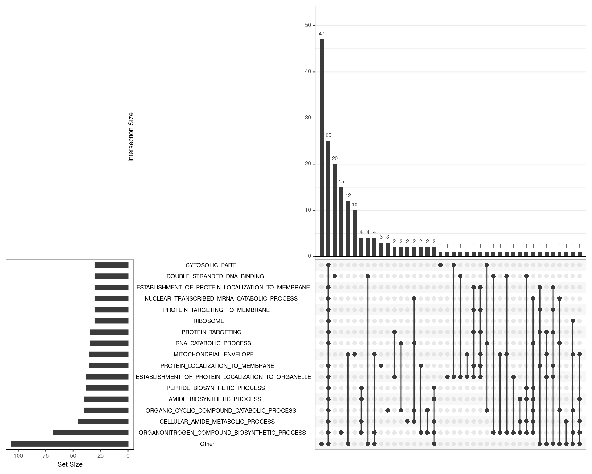 *UpSet plot indicating distribution of DE genes within significant terms from the GO gene sets. Gene sets were restricted to those with 25 or more DE genes and an FDR < 0.05. A group of 47 genes is widely spread across multiple terms, whilst a group of 25 genes is shared by a large group of terms, indicating that these genes largely drive the signal for these terms. These genes tend to indicate Ribosomal activity. However, a set of 20 genes seems to more uniquely indicate dsDNA binding, whilst another 15 indicate organo-nitrogen biosynthesis, and a further set of 22 DE genes are predominantly associated with the mitochondrial envelope.*