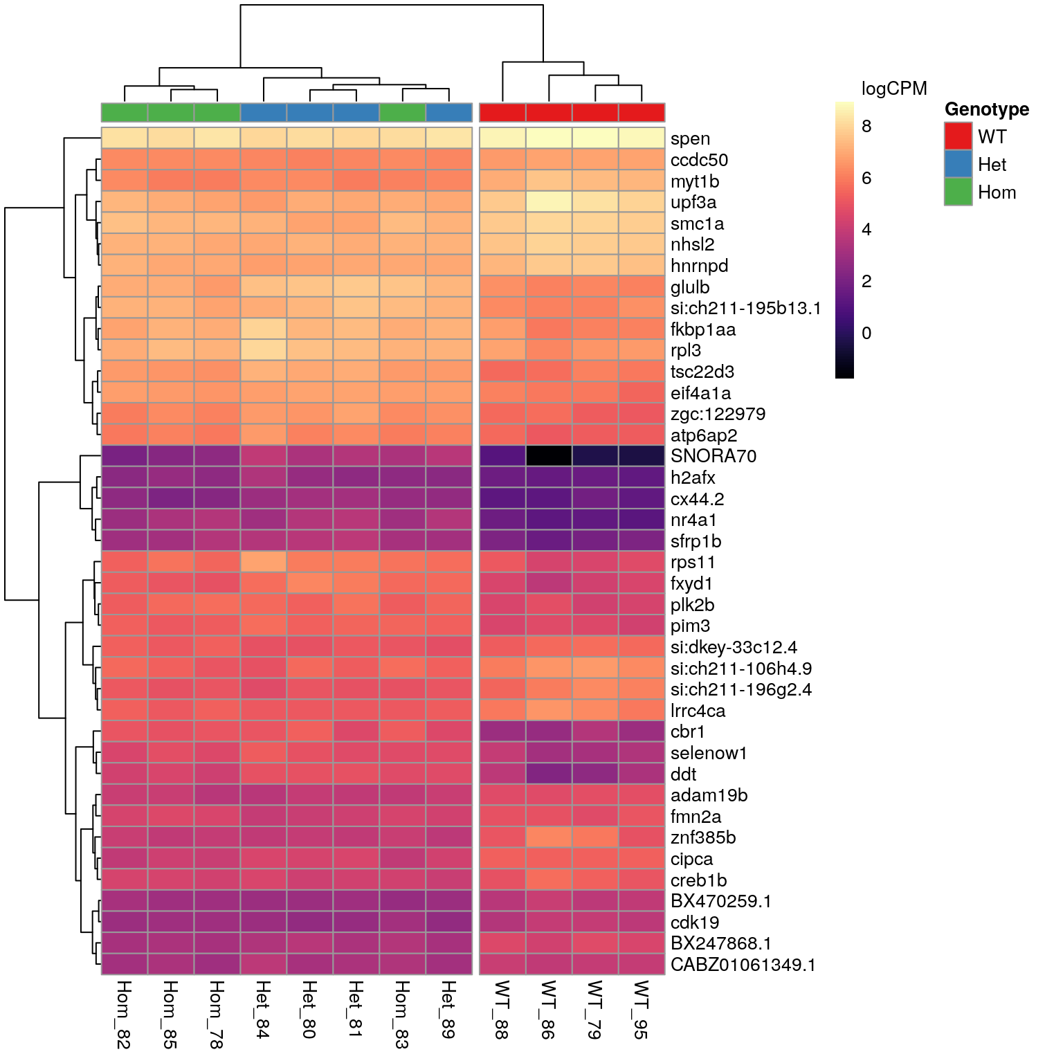 *The 40 most highly-ranked genes by FDR which are commonly considered DE between mutants and WT samples*