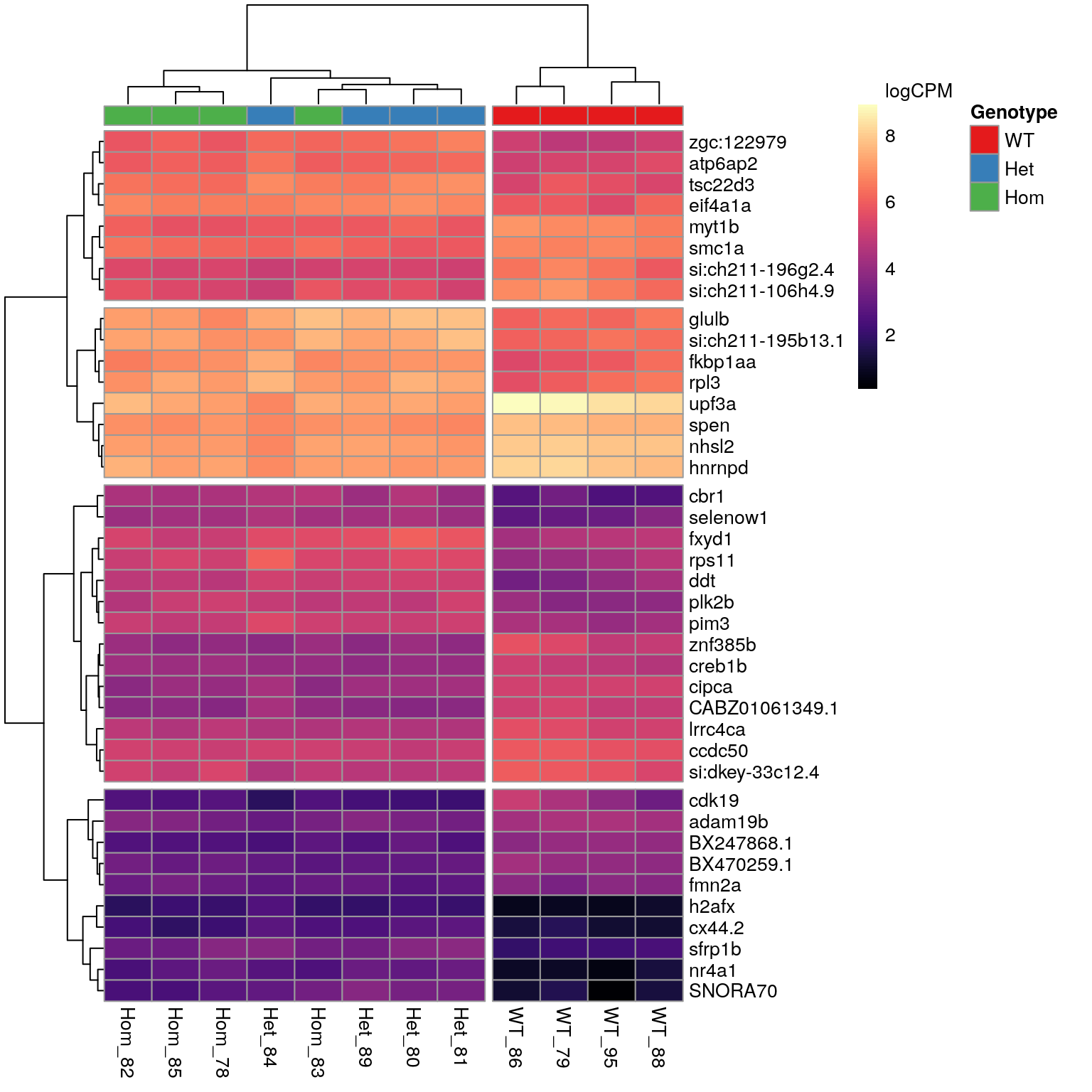 *The 40 most highly-ranked genes by FDR which are commonly considered DE between mutants and WT samples. Plotted values are logCPM based on normalised counts.*