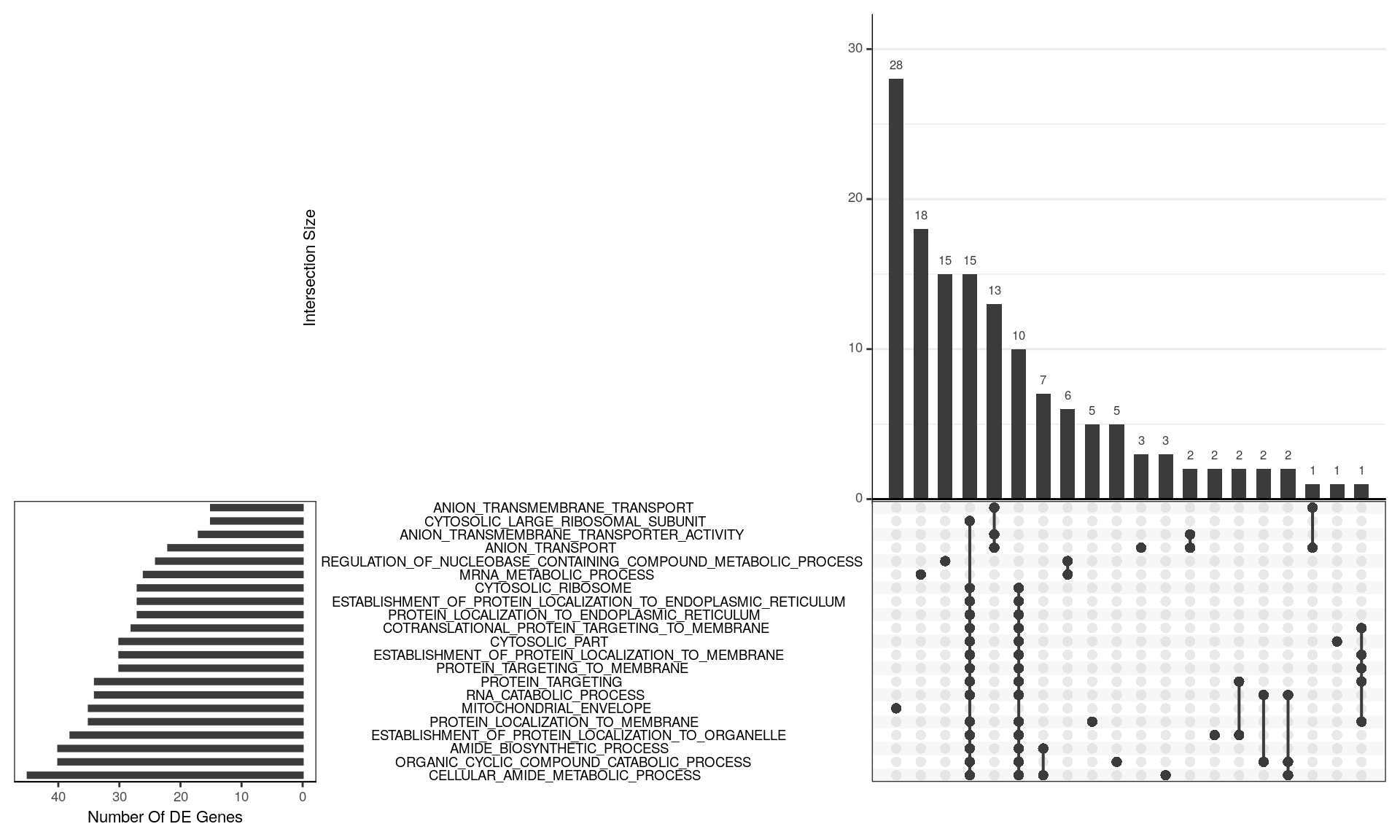 *UpSet plot indicating distribution of DE genes within significantly enriched terms from the GO gene sets. For this visualisation, GO terms were restricted to those with 15 or more DE genes, where this represented more than 5% of a gene set as being DE, along with an FDR < 0.02 and more than 3 steps back to the ontology root. The 20 largest GO terms satisfying these criteria are shown. The plot is  truncated at the right hand side for simplicity. A group of 28 genes is uniquely attributed to the Mitochondrial Envelop, with a further 18 being relatively unique to mRNA Metabolic Process. The next grouping of 15 genes are unique to Regulation Of Nucleobase-Containing Compound Metabolic Process followed by 25 genes, spread across two clusters of terms which largely represent Ribosomal activity. In between these are 13 genes uniquely associated with Anion Transport.*