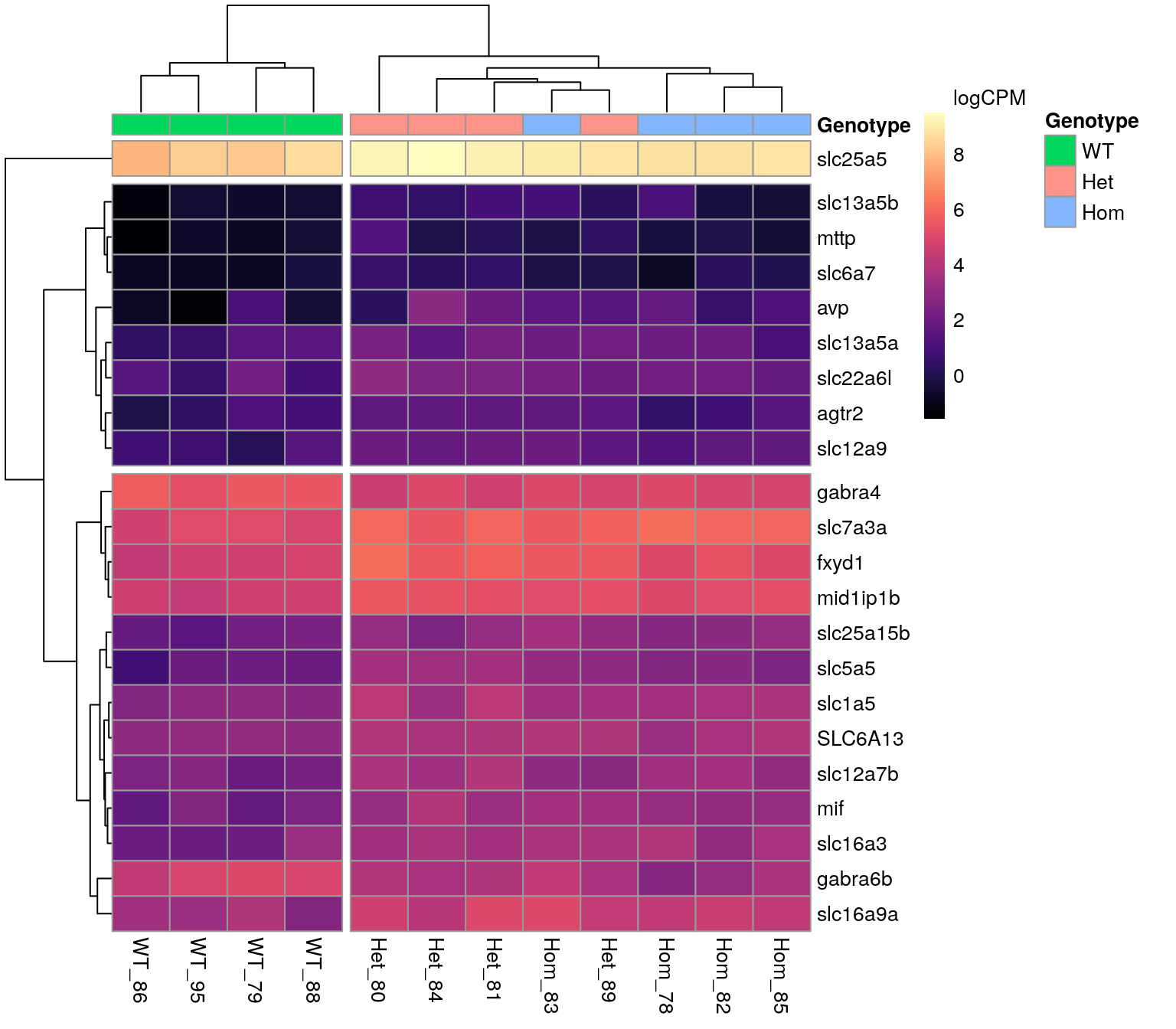 *All DE genes associated with the GO term 'Anion Transport'.*