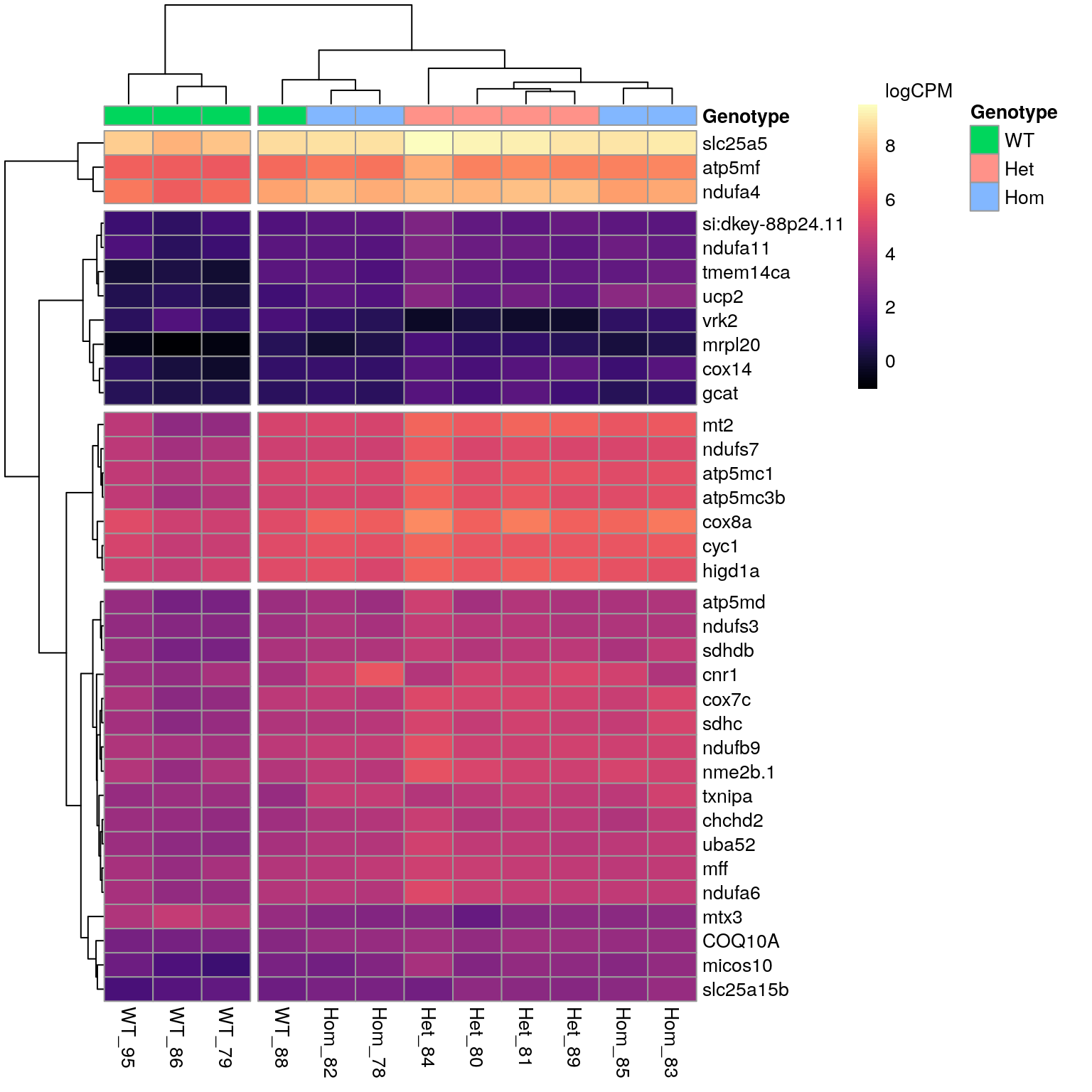 *All DE genes associated with the GO term 'Mitochondrial Envelope'.*