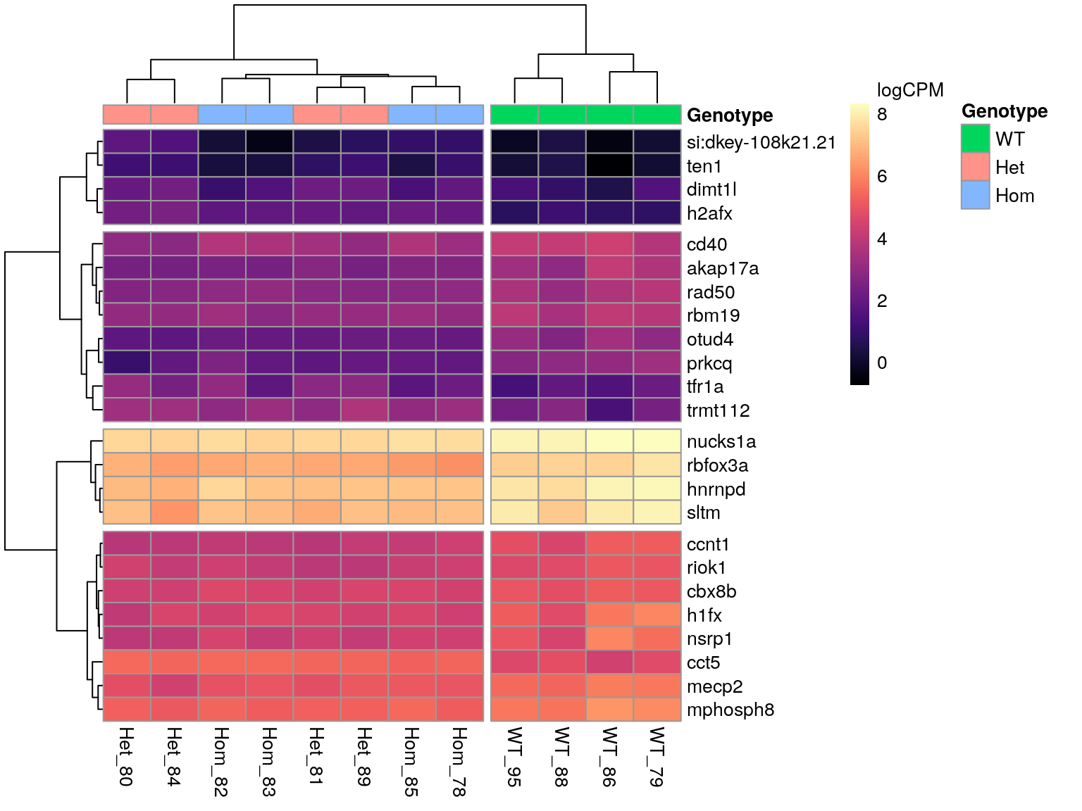 *All DE genes associated with the GO term 'mRNA Metabolic Process'.*