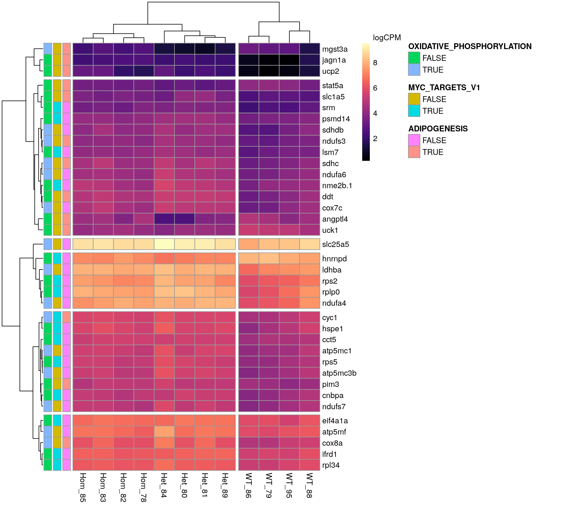 *Gene expression patterns for all DE genes in HALLMARK gene sets, containing more than 12 DE genes.*