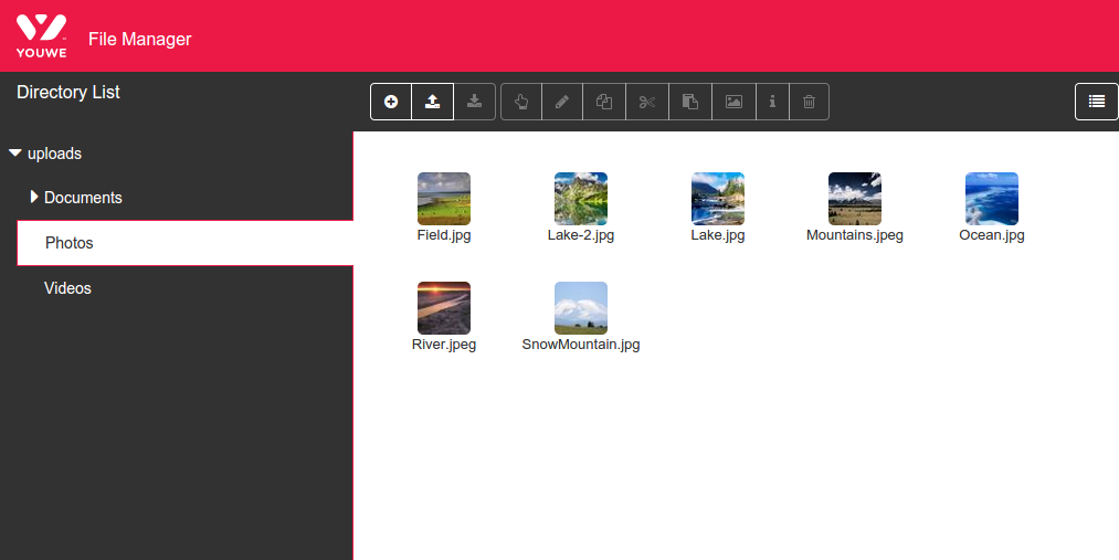 File Manager Interface