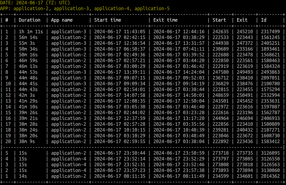 NGINX Unit log analyzer. Report type top