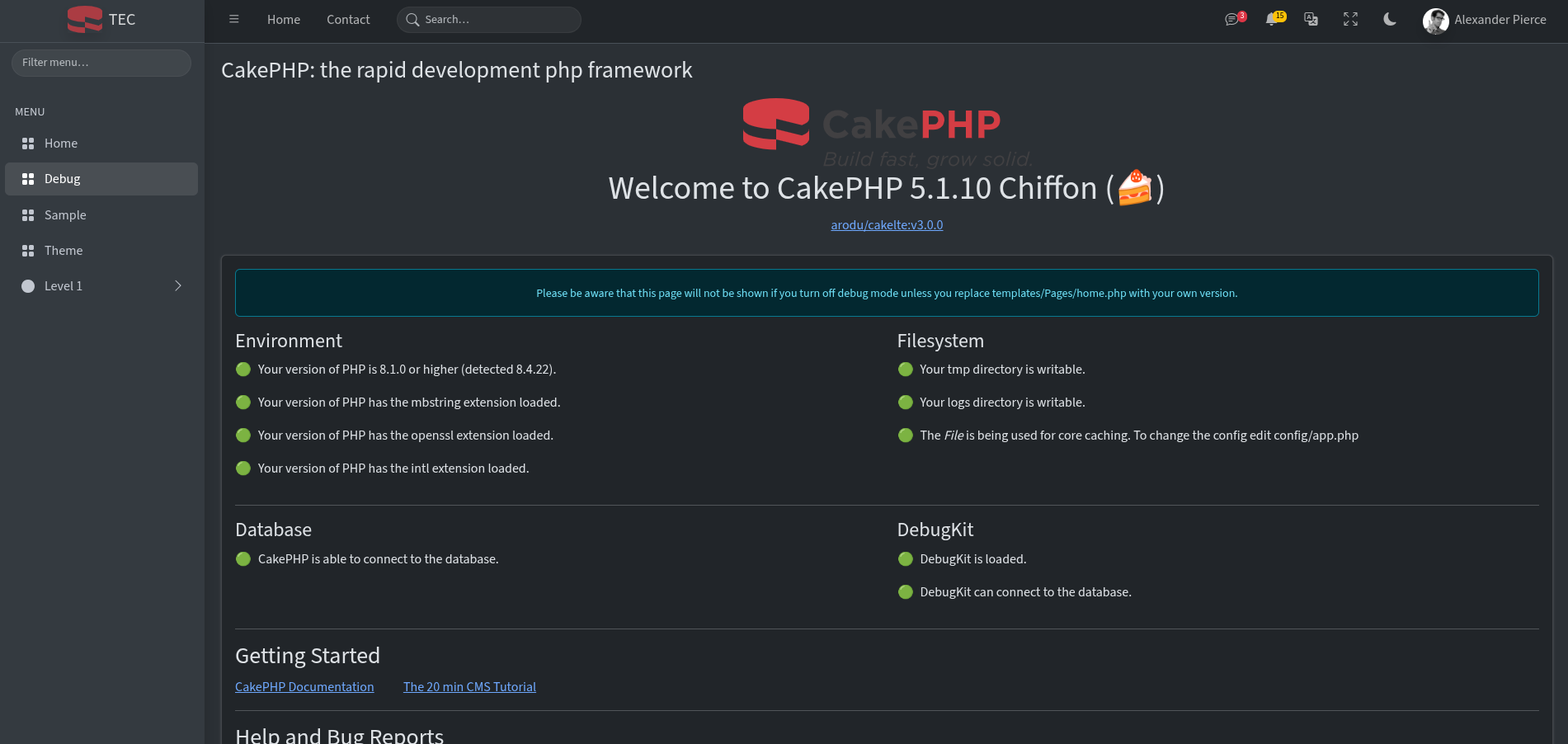 Page Debug with default dark layout