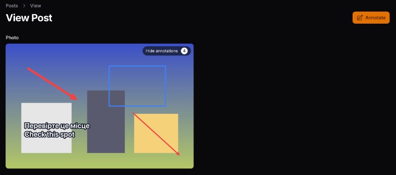 The read-only view with the show/hide toggle