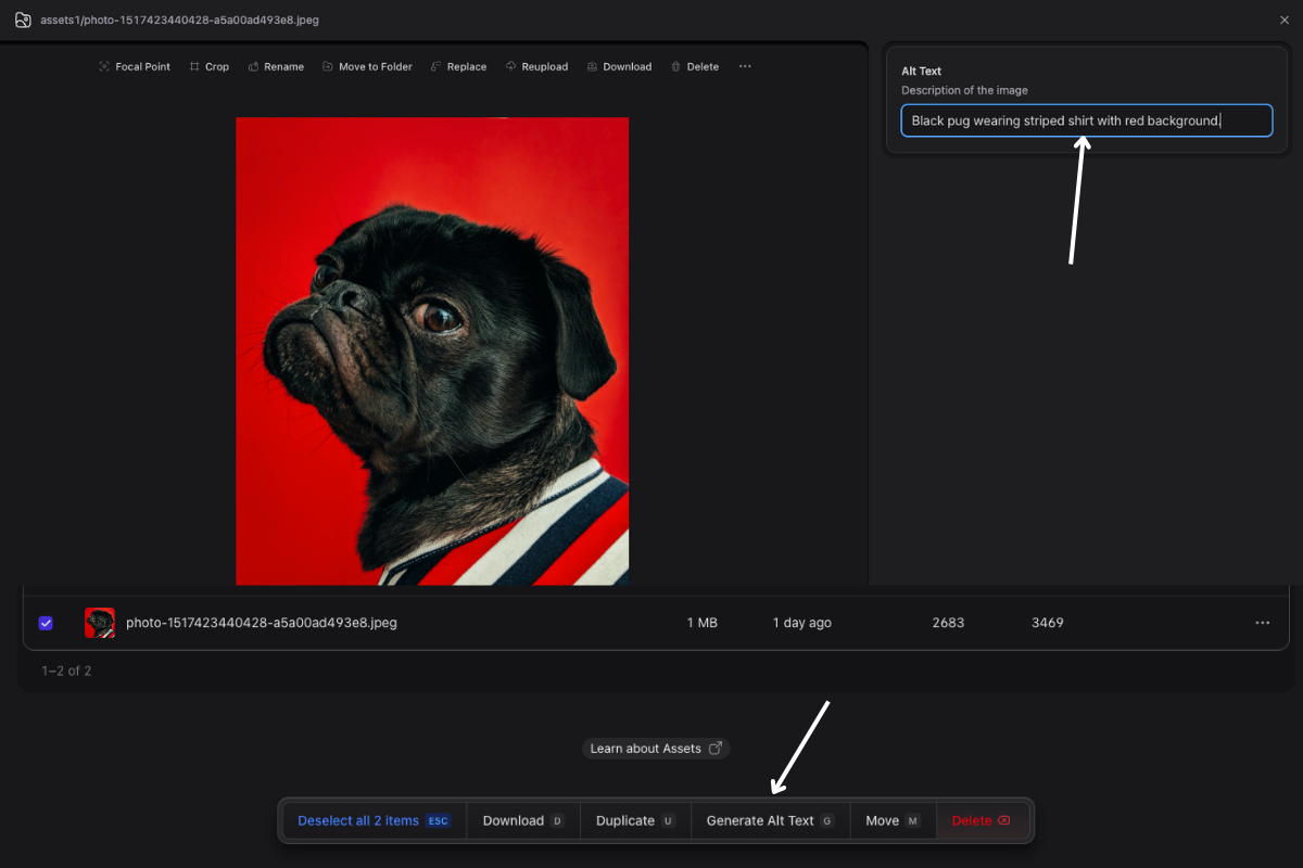 Generate Alt Text in the Statamic Control Panel