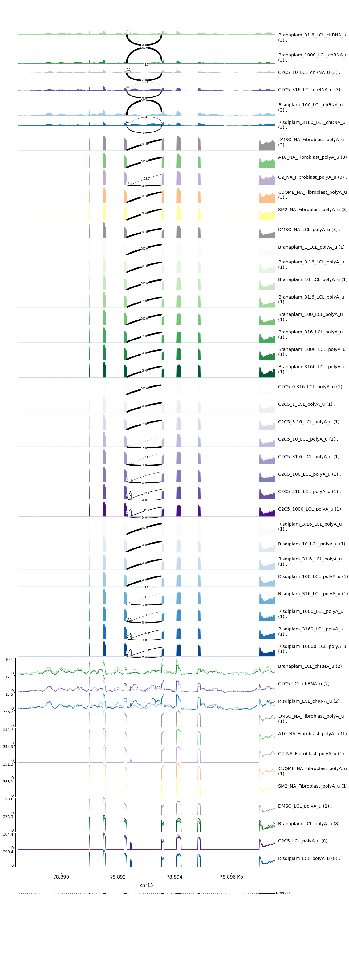 risdiplam-specific-example