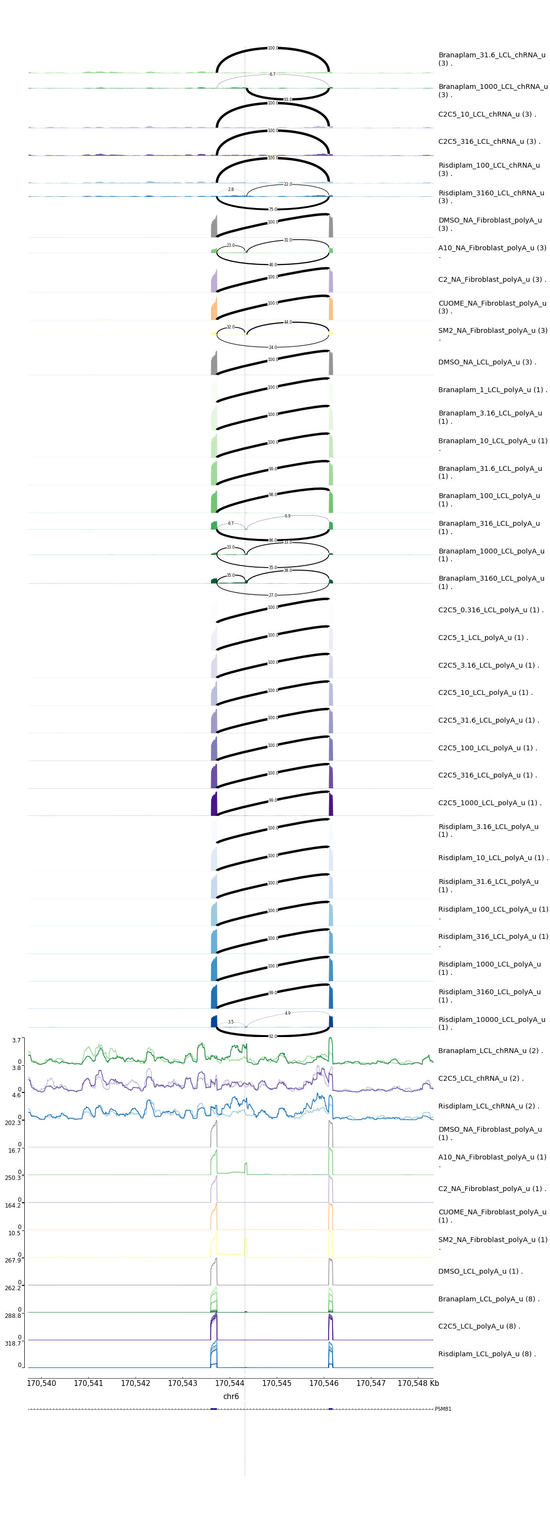 branaplam-specific-example