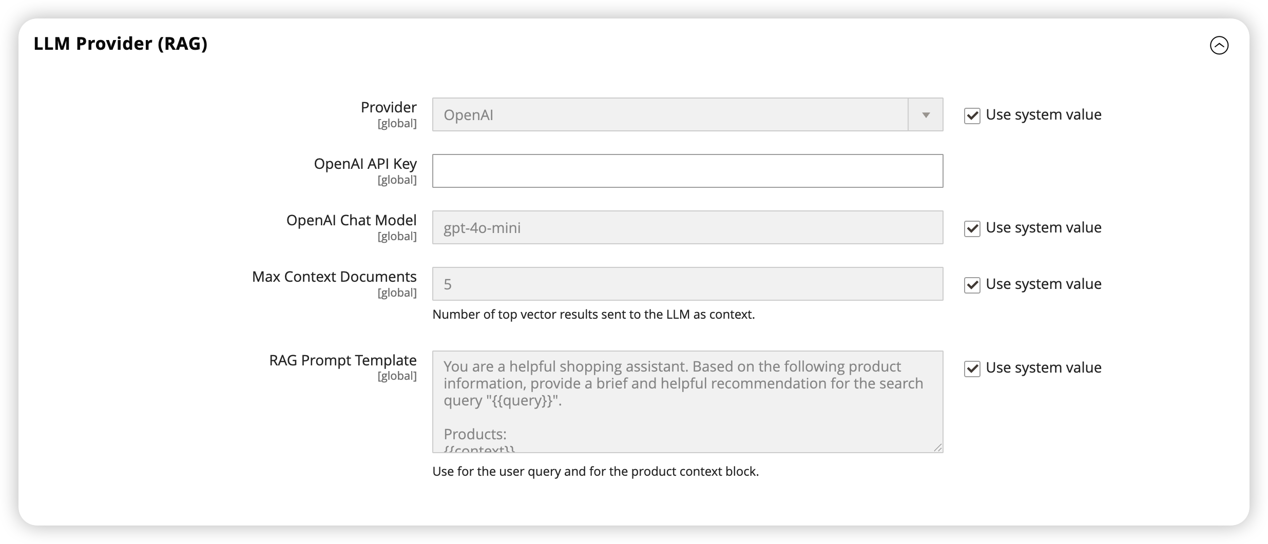LLM Provider (RAG)