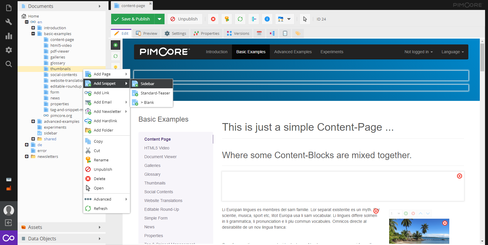 Pimcore Admin Interface Screenshot