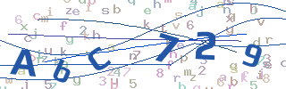 9级