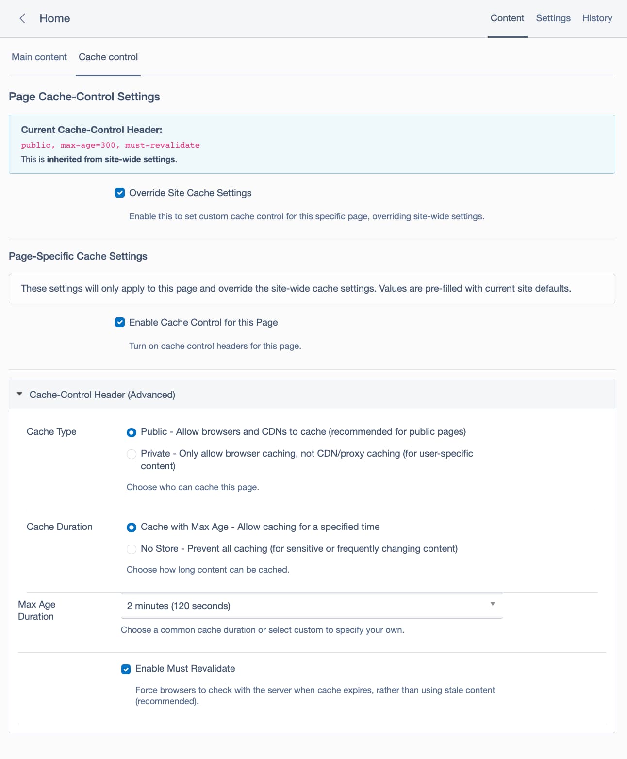 Cache Control UI Screenshot