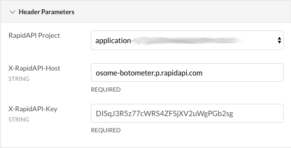 Screenshot of RapidAPI header parameters
