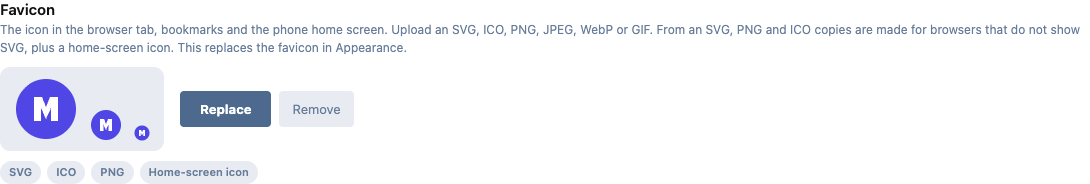 The Favicon tab, with the formats made from one SVG