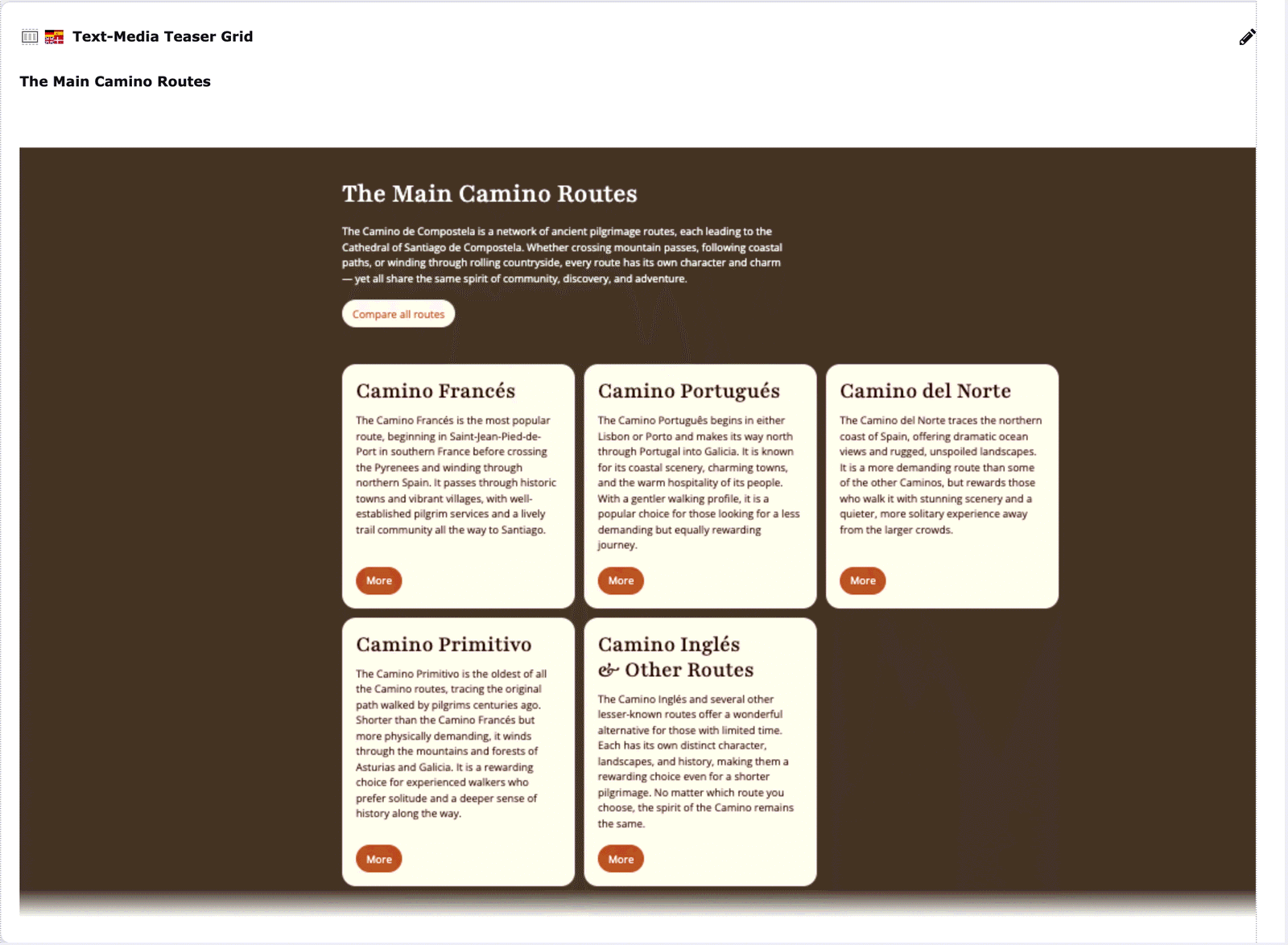 Look's preview of the same grid: dark brown section with serif headline, intro, button and five light cards