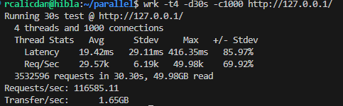 Hibla Benchmark showing 116,000 RPS