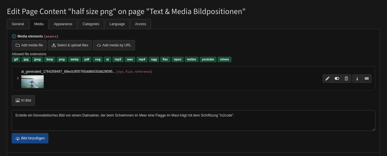 documentation_backend_textmedia.png