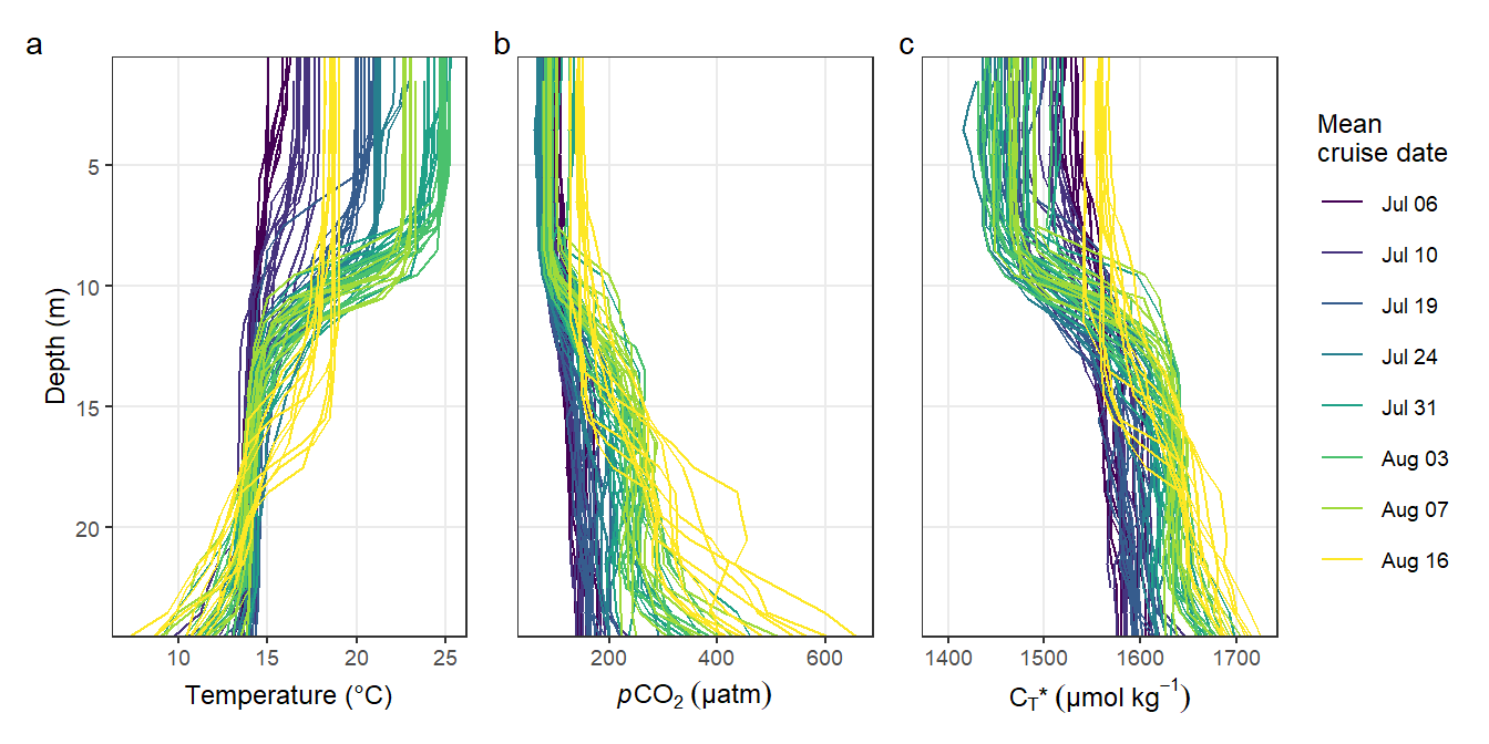 Individual vertical profiles per cruise day and station.