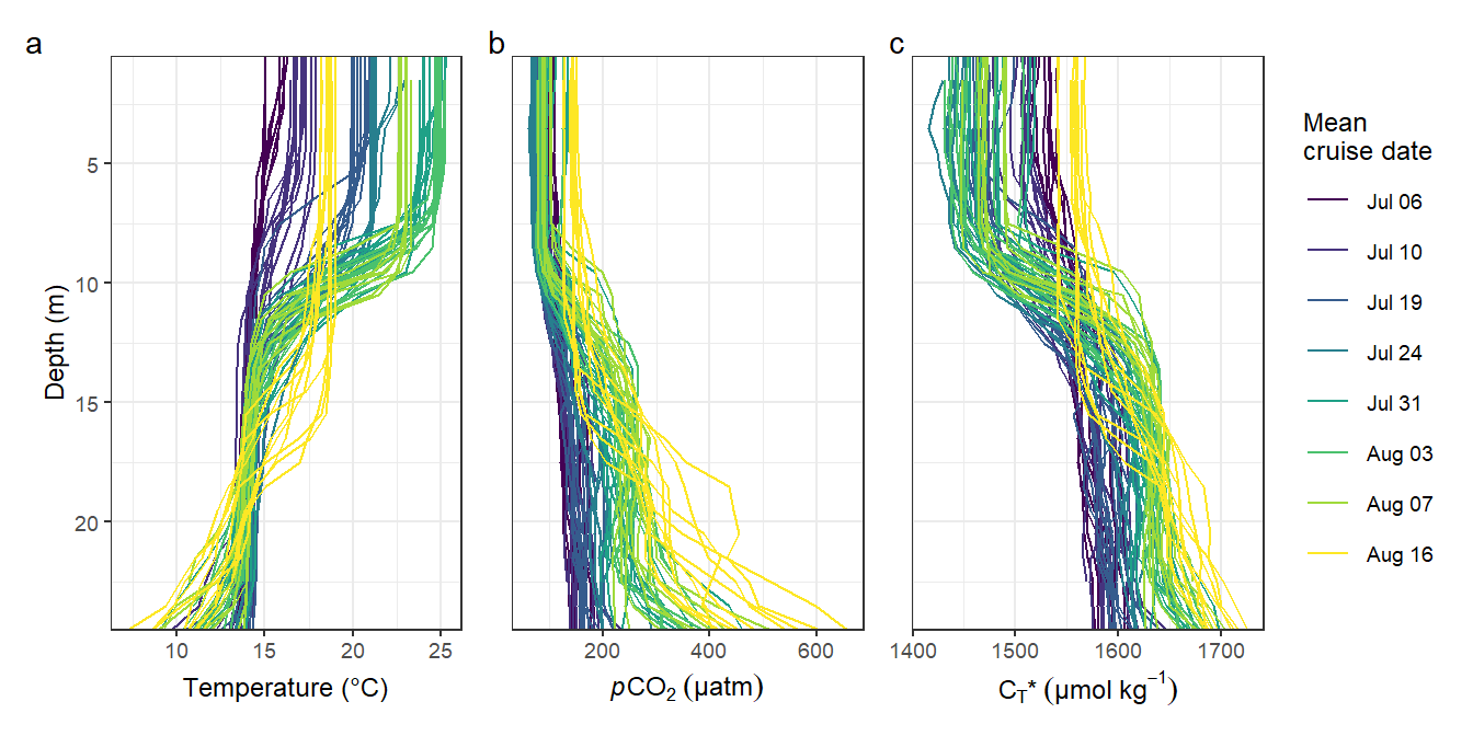 Individual vertical profiles per cruise day and station.