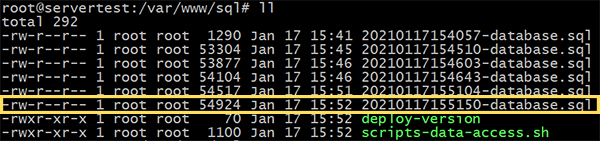 SQL Files