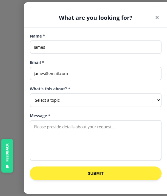 Feedback Widget Screenshot