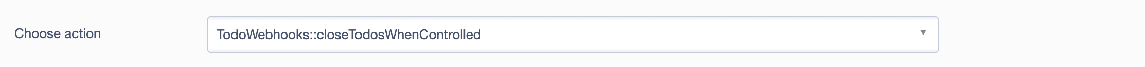 Field for customs webhook functions