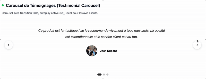 Testimonial Carousel Demo