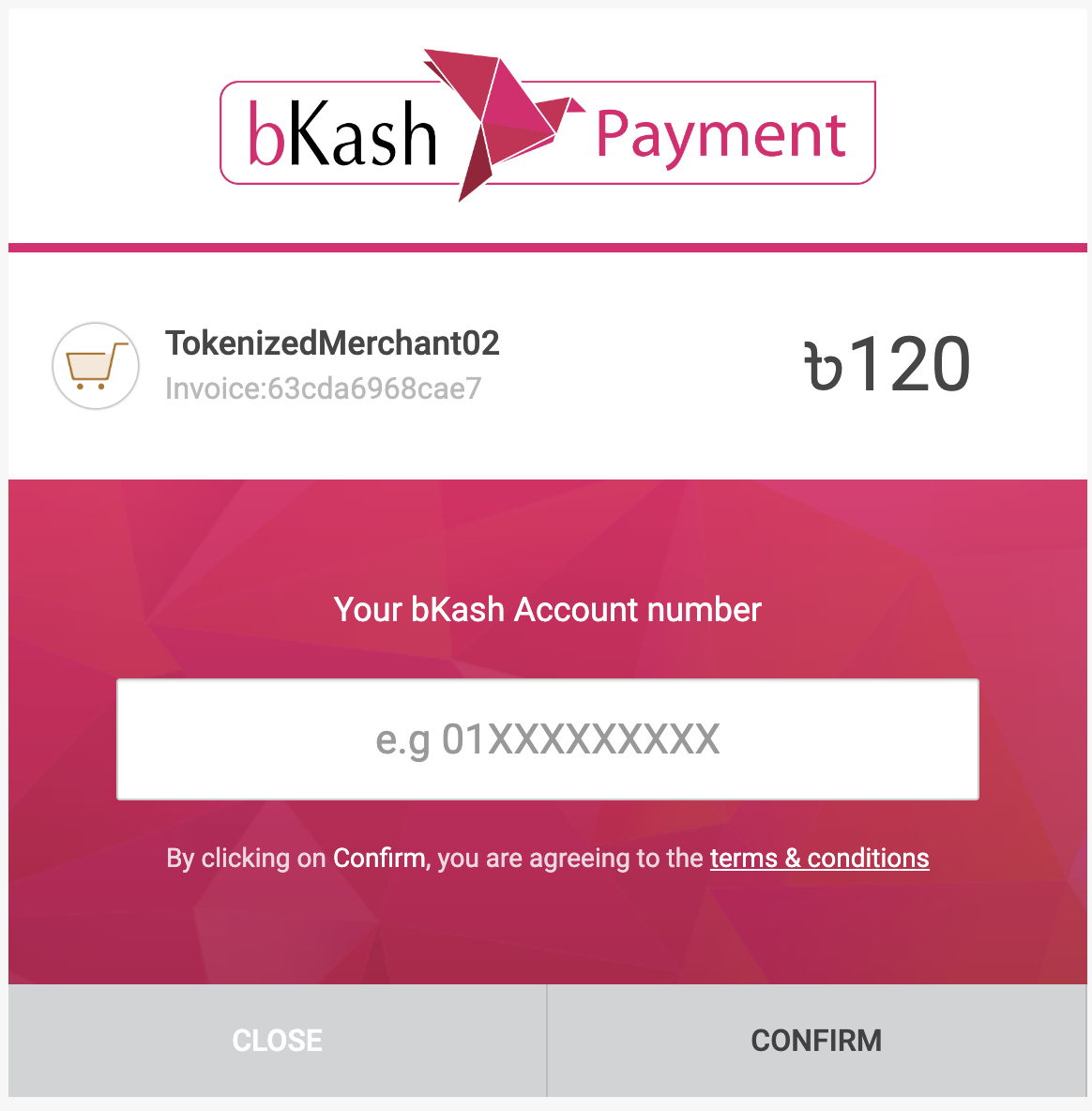 bkash tokenize