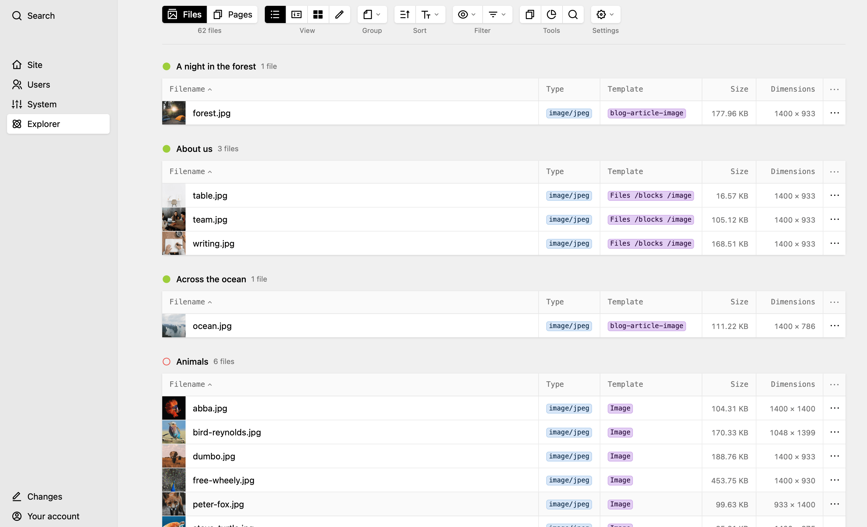 Files in list view