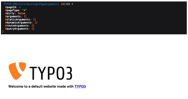 Dump output in frontend