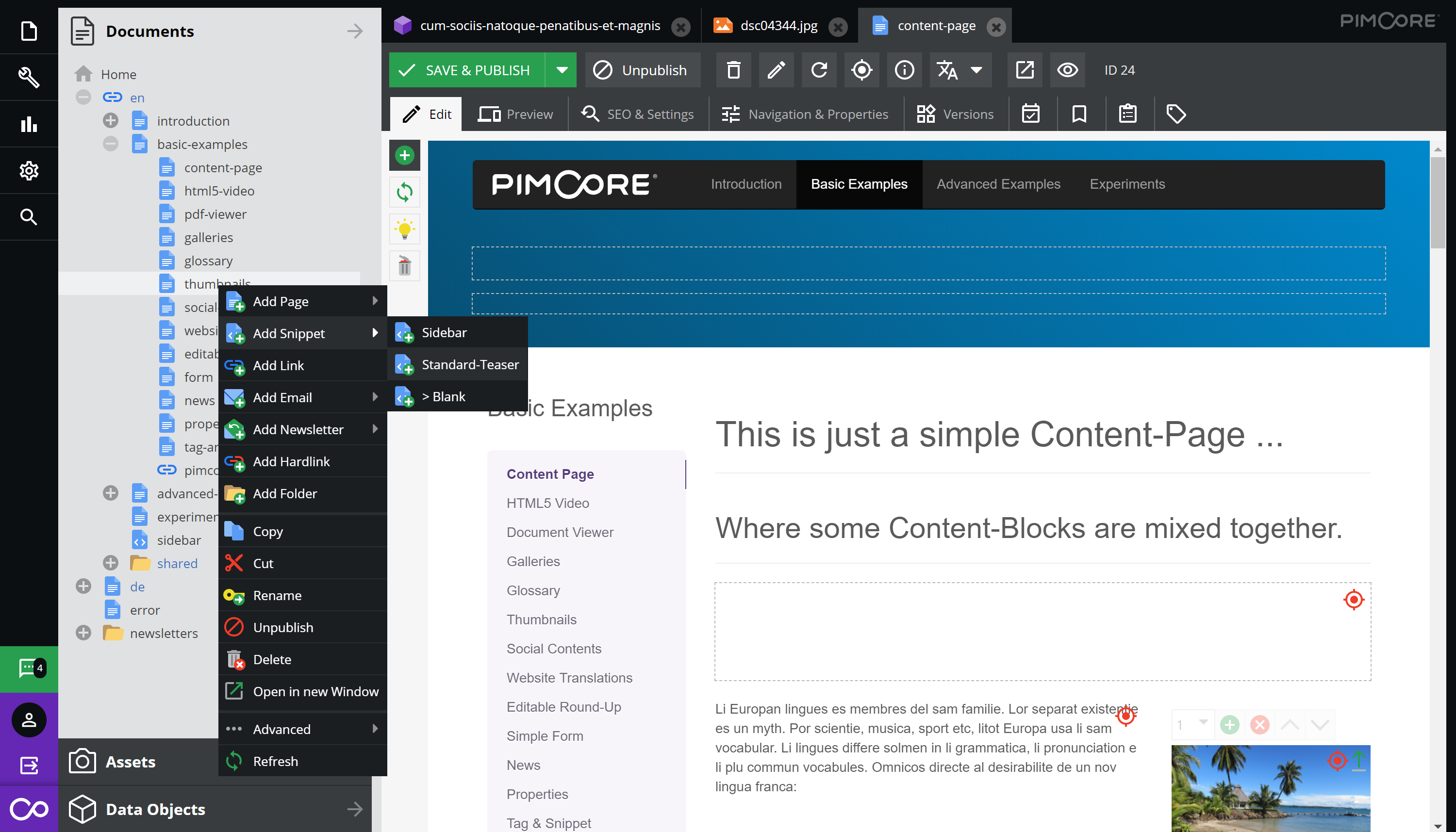 Pimcore Admin Interface Screenshot CMS