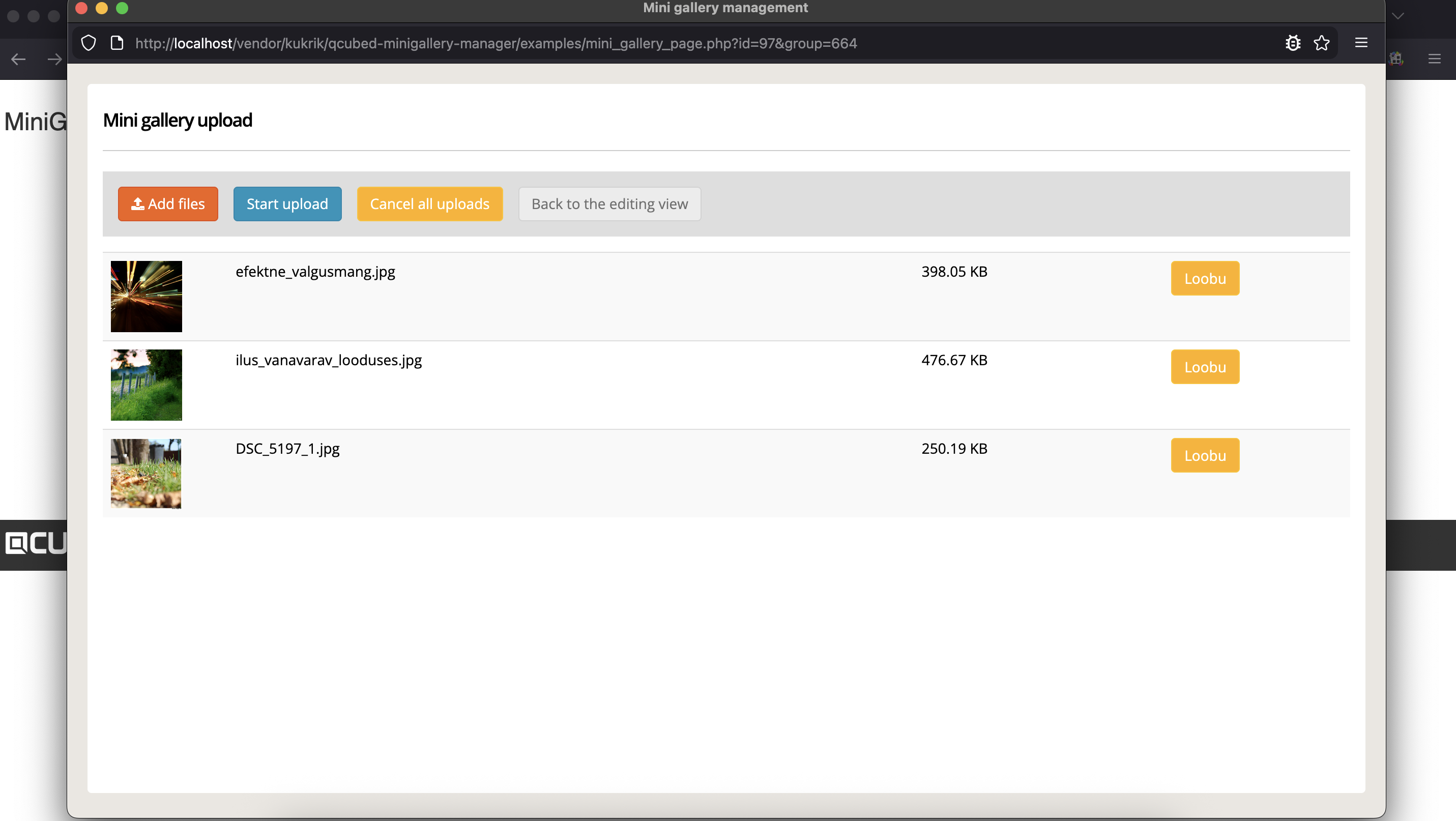 MiniGallery manager screenshot